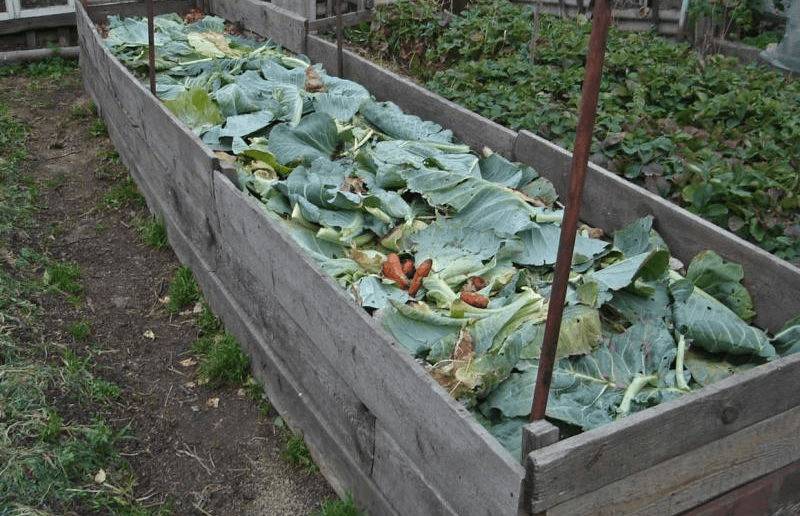 Как сделать теплую грядку для огурцов весной в открытом грунте, в теплице