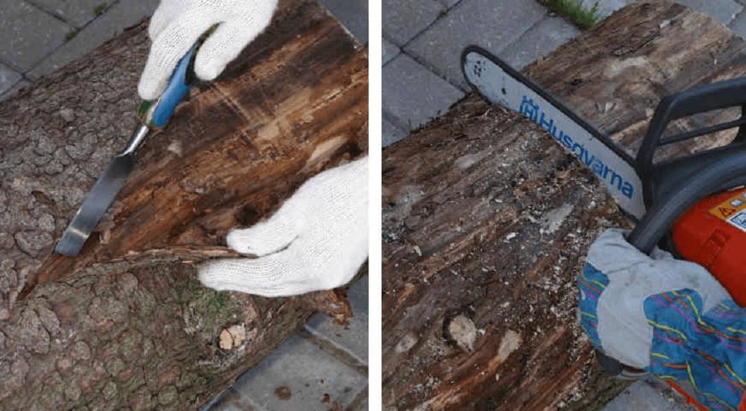 Клумбы из бревен своими руками: фото, оформление, как сделать цветник на дачном участке