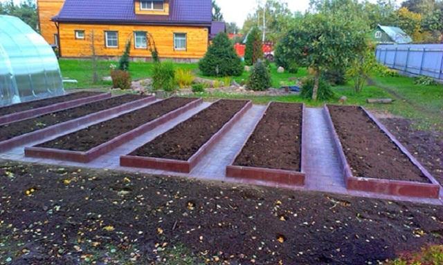 Из чего сделать дорожки между грядками в огороде: материалы и чем засыпать своими руками