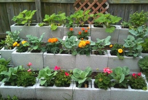 Клумба многоуровневая своими руками: фото, устройство клумбы, как сделать цветник