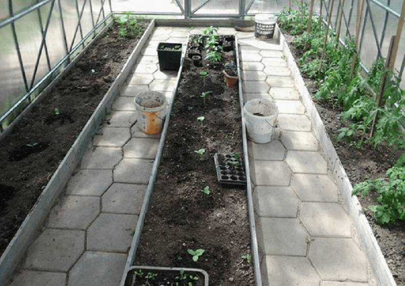 Как сделать дорожку в теплице между грядками своими руками
