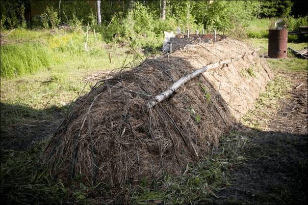 Как сделать теплую грядку для огурцов весной в открытом грунте, в теплице