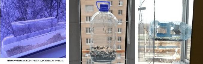 Кормушка для птиц на окно на присосках: как сделать своими руками