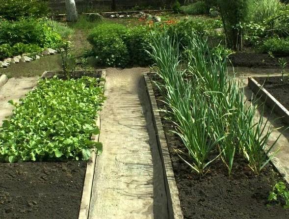 Из чего сделать дорожки между грядками в огороде: материалы и чем засыпать своими руками