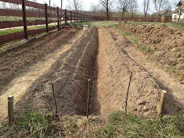 Грядки из шифера своими руками: плоского, волнового, фото + идеи по оформлению