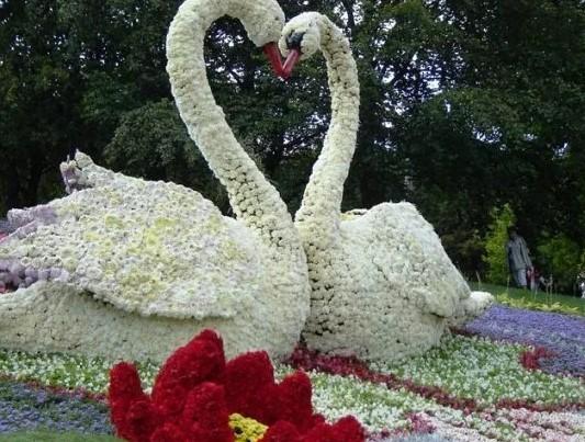 Клумба-лебедь своими руками для дачи: фото, чертежи, как сделать из шин, дерева, цемента