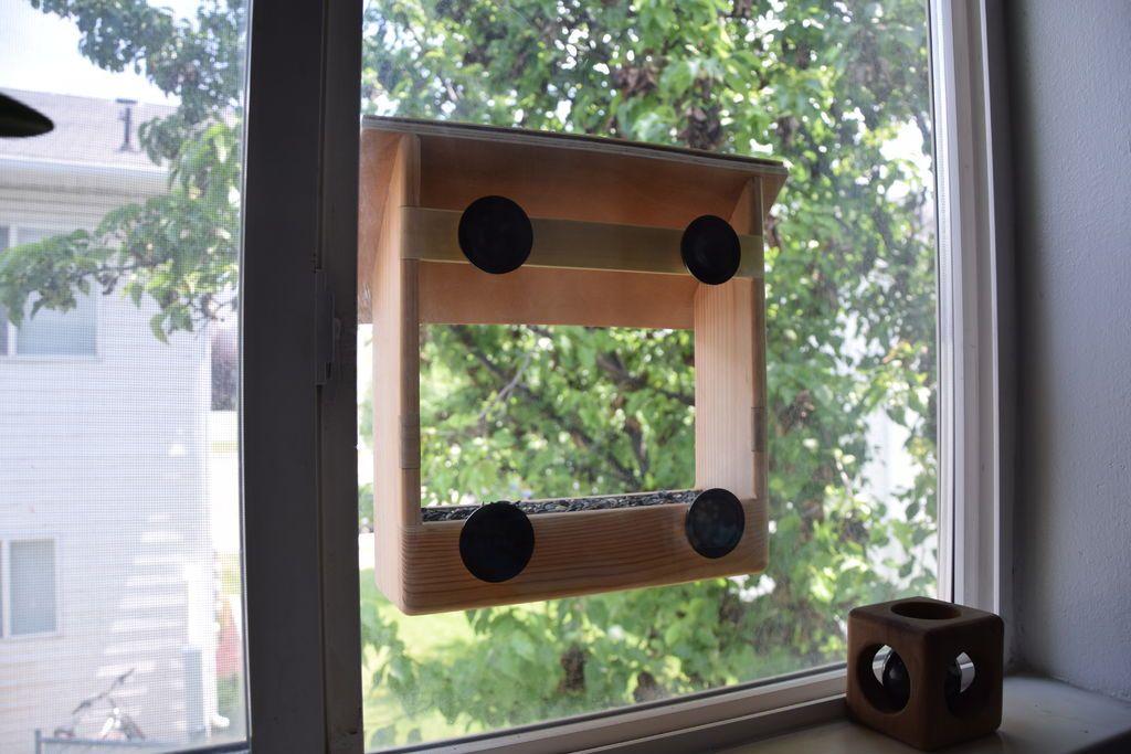 Кормушка для птиц на окно на присосках: как сделать своими руками