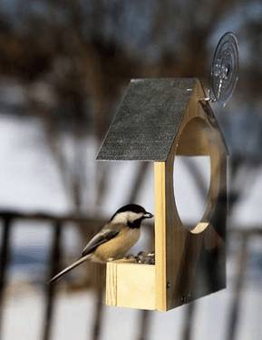 Как сделать кормушку для птиц из фанеры: чертежи с фото