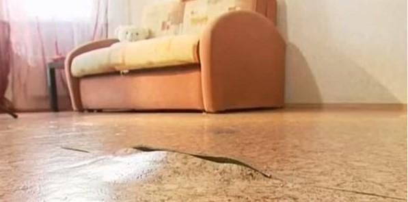 Как заделать в линолеуме дырку, порез в домашних условиях