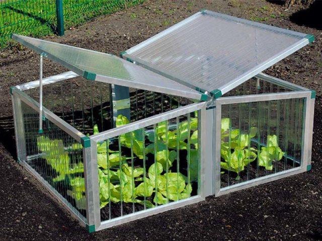 Грядки из поликарбоната своими руками: фото + чертежи