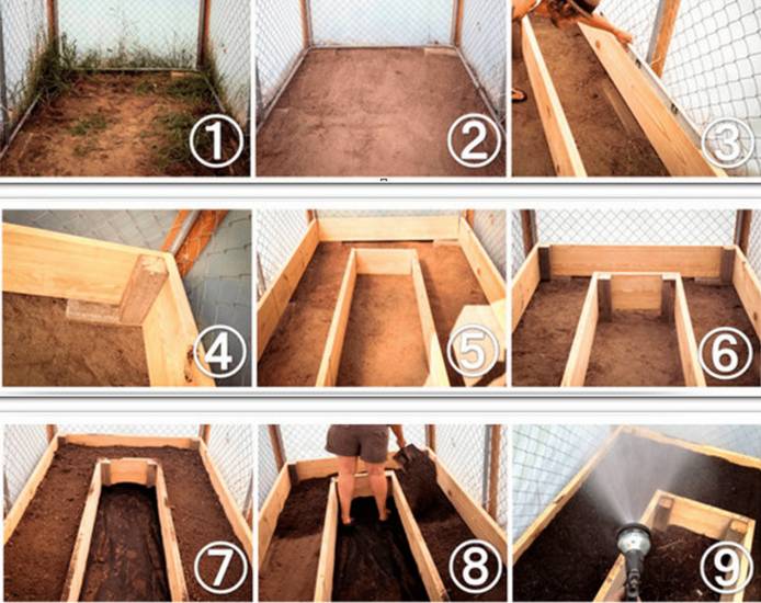 Грядка для помидоров своими руками в открытом грунте и в теплице + фото