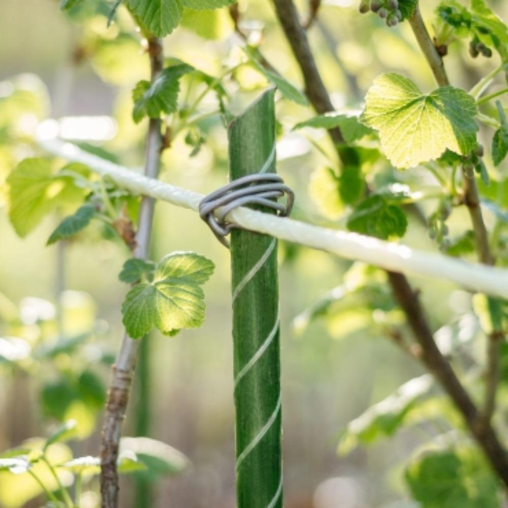 Опора для ежевики своими руками