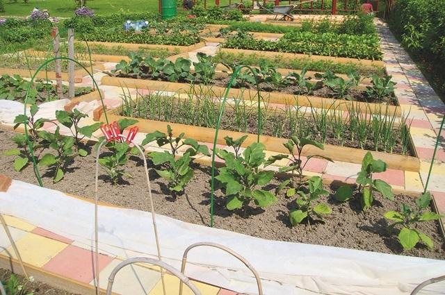 Из чего сделать дорожки между грядками в огороде: материалы и чем засыпать своими руками