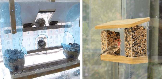 Кормушка для птиц на окно на присосках: как сделать своими руками