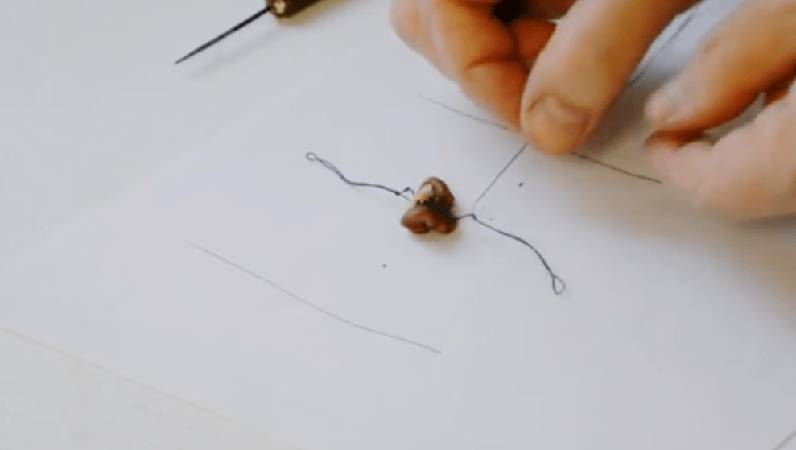 Мышеловка из пластиковой бутылки своими руками: видео, фото