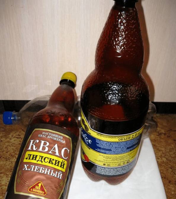 Пальма из пластиковых бутылок своими руками: фото + пошаговый мастер-класс