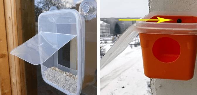 Кормушка для птиц на окно на присосках: как сделать своими руками
