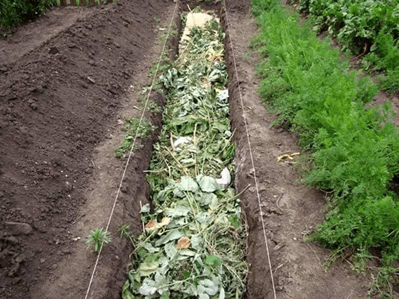 Как сделать теплую грядку для огурцов весной в открытом грунте, в теплице