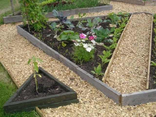 Из чего сделать дорожки между грядками в огороде: материалы и чем засыпать своими руками