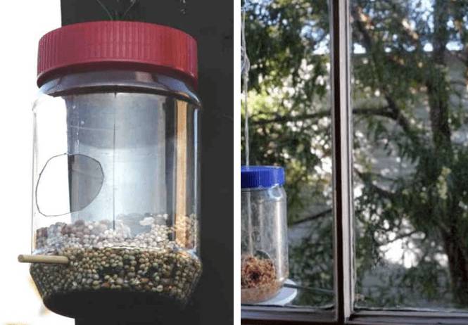Кормушка для птиц на окно на присосках: как сделать своими руками