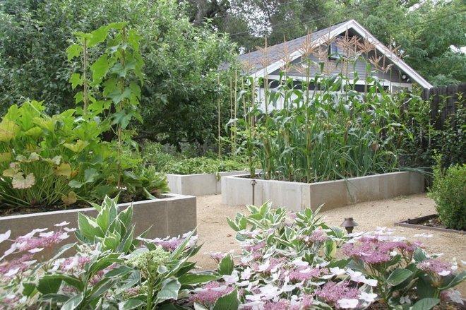 Бордюры для грядок своими руками: фото, из чего сделать, чем оградить на даче