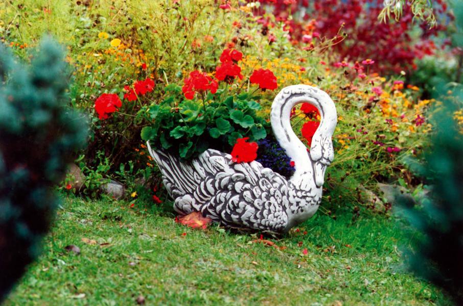Клумба-лебедь своими руками для дачи: фото, чертежи, как сделать из шин, дерева, цемента
