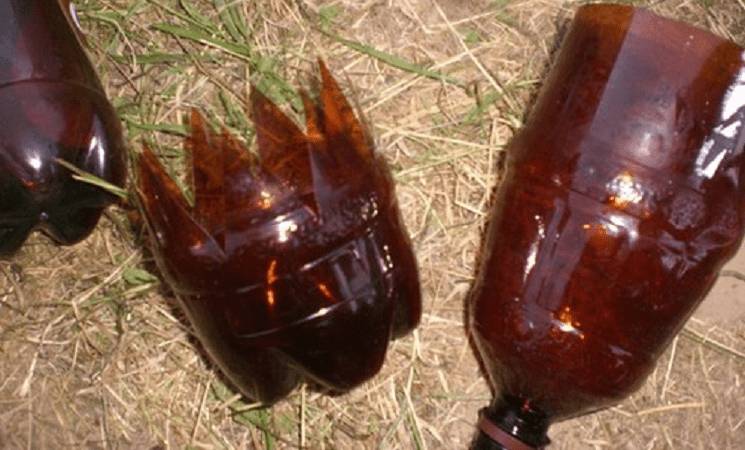 Пальма из пластиковых бутылок своими руками: фото + пошаговый мастер-класс