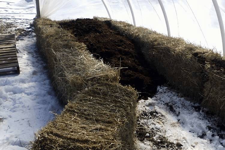 Как сделать теплую грядку для огурцов весной в открытом грунте, в теплице