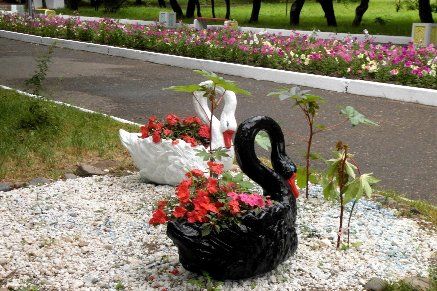 Клумба-лебедь своими руками для дачи: фото, чертежи, как сделать из шин, дерева, цемента
