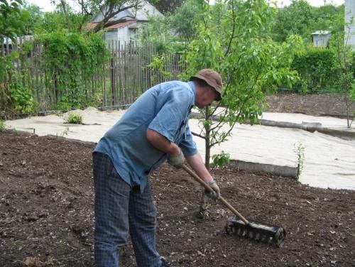 Грядка для помидоров своими руками в открытом грунте и в теплице + фото
