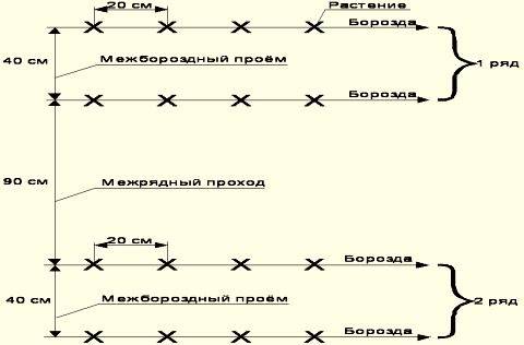 Как сделать теплую грядку для огурцов весной в открытом грунте, в теплице