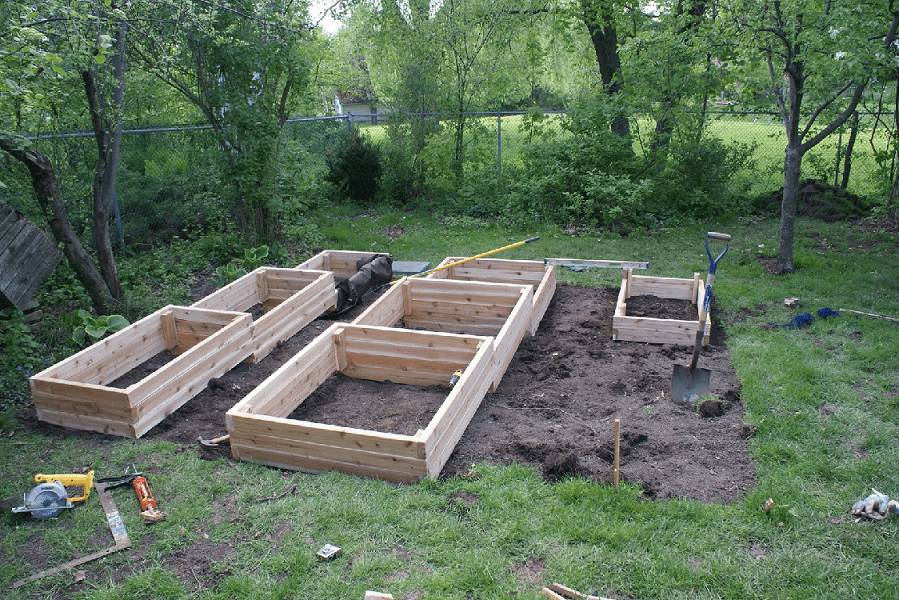 Расположение грядок в теплице 3х6: как устроить, планировка