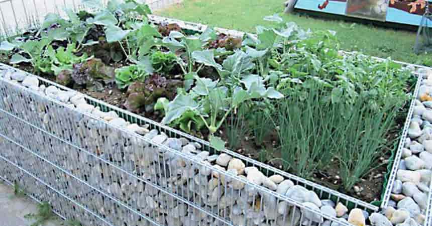 Габионы-клумбы своими руками: декорирование цветника из проволочной сетки и камней, фото