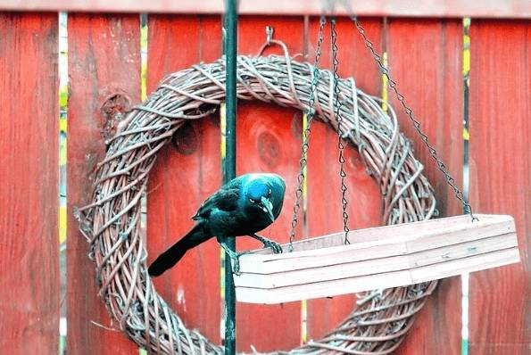 Кормушки для птиц из дерева своими руками: размеры и схемы