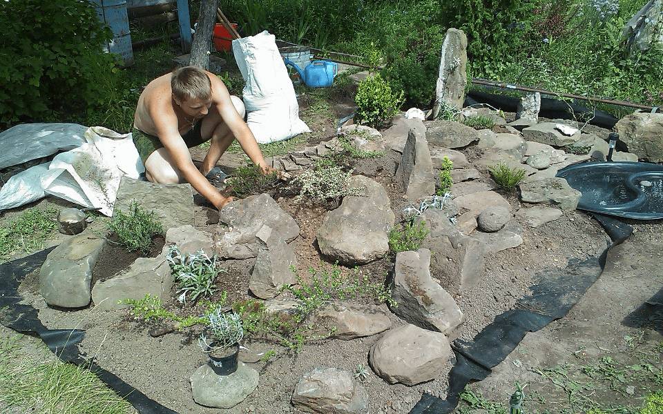 Альпийская горка с прудом своими руками: как сделать, дизайн