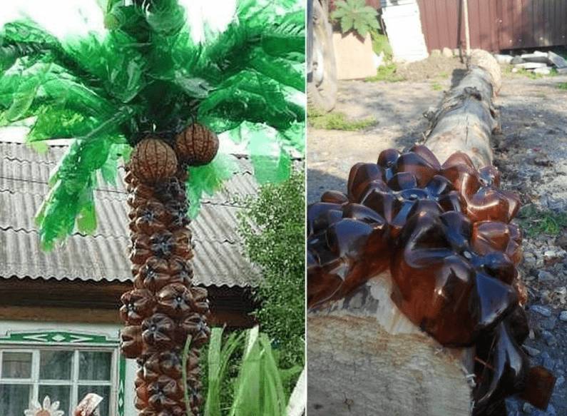 Пальма из пластиковых бутылок своими руками: фото + пошаговый мастер-класс