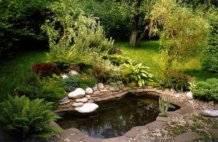 Альпийская горка с прудом своими руками: как сделать, дизайн