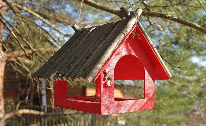 Кормушки для птиц из дерева своими руками: размеры и схемы