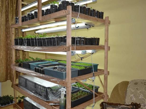 Полки для рассады: как сделать своими руками из дерева и металла