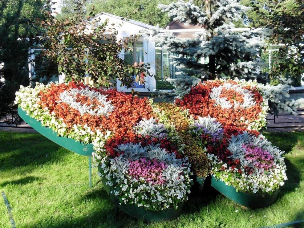 Клумба в виде бабочки своими руками: фото, как сделать из металла, бордюрной ленты, покрышек