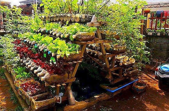 Грядки из пластиковых бутылок своими руками: вертикальные, высокие, теплые