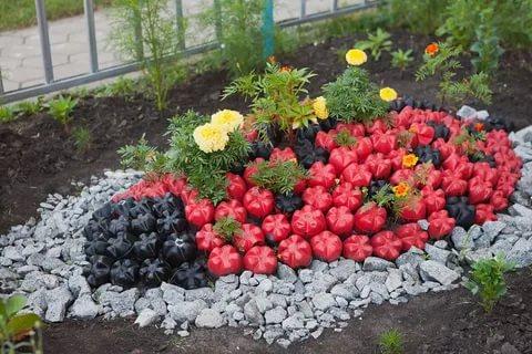 Клумбы из пластиковых бутылок своими руками: фото + идеи по оформлению
