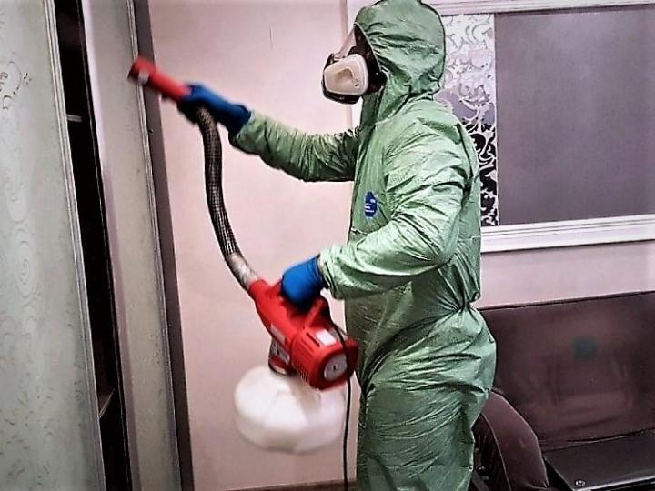 как избавиться от клопов в диване