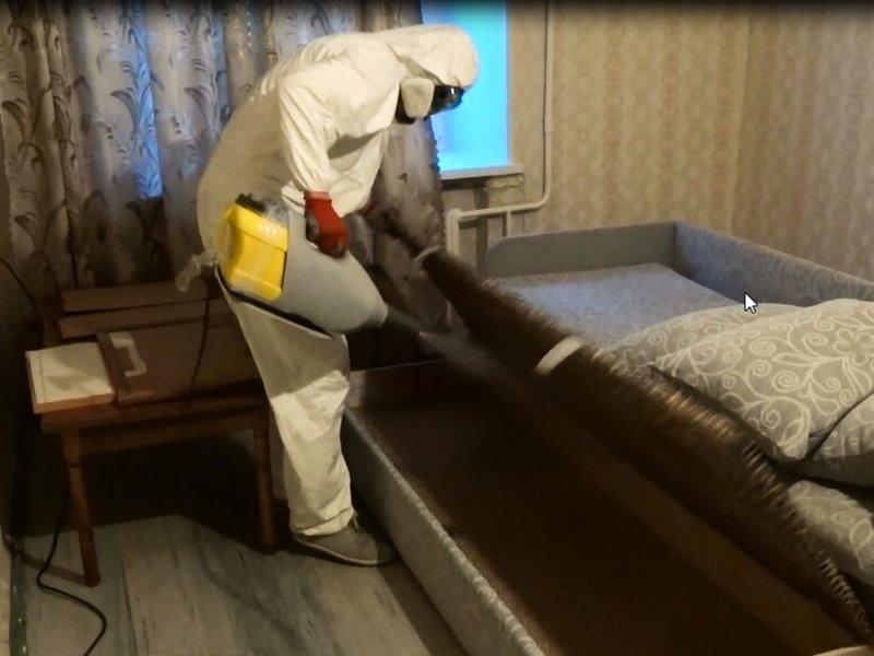как избавиться от клопов в диване