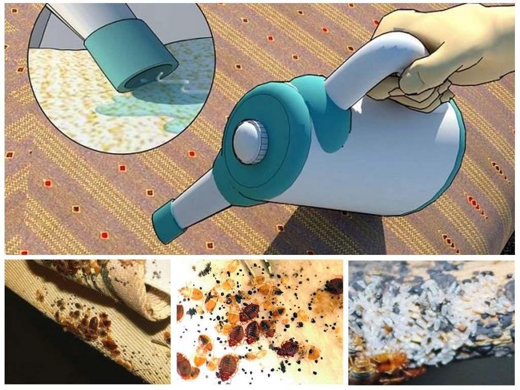 как вывести клопов из дивана самостоятельно