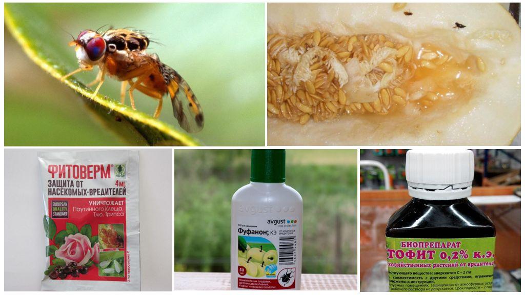 как избавиться от мушек на кухне