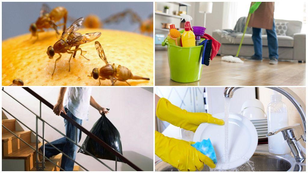 как избавиться от мушек на кухне