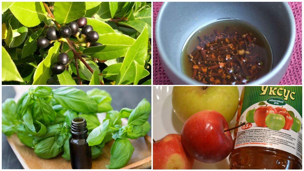 как избавиться от мушек на кухне