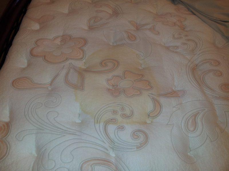 800 Как избавиться от запаха мочи на диване