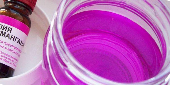 как убрать запах кошачьей мочи с дивана